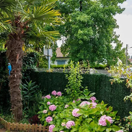 Le Petit - Pessac, Bordeaux 펜션